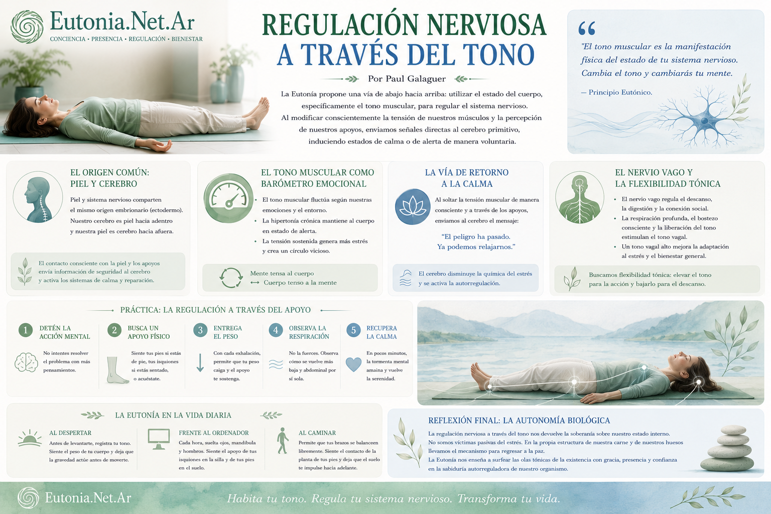 Regulaci&oacute;n Nerviosa a trav&eacute;s del Tono | Euton&iacute;a